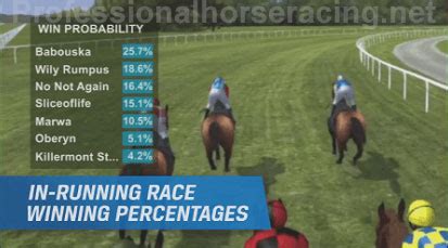 portman park tips|Portman Park horse racing tips .